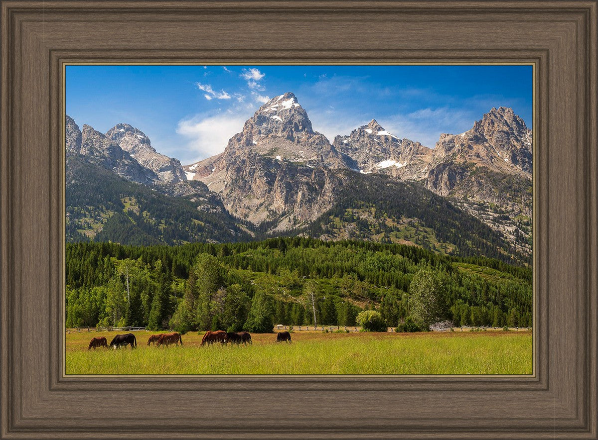 Panorama of Grand Teton Mountain Range, Wyoming