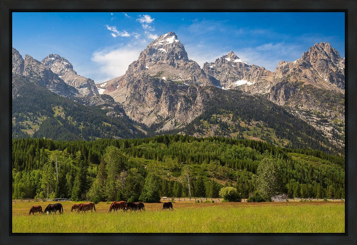 Panorama of Grand Teton Mountain Range, Wyoming