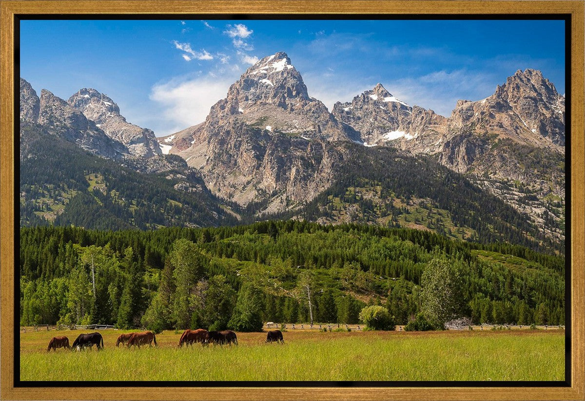 Panorama of Grand Teton Mountain Range, Wyoming