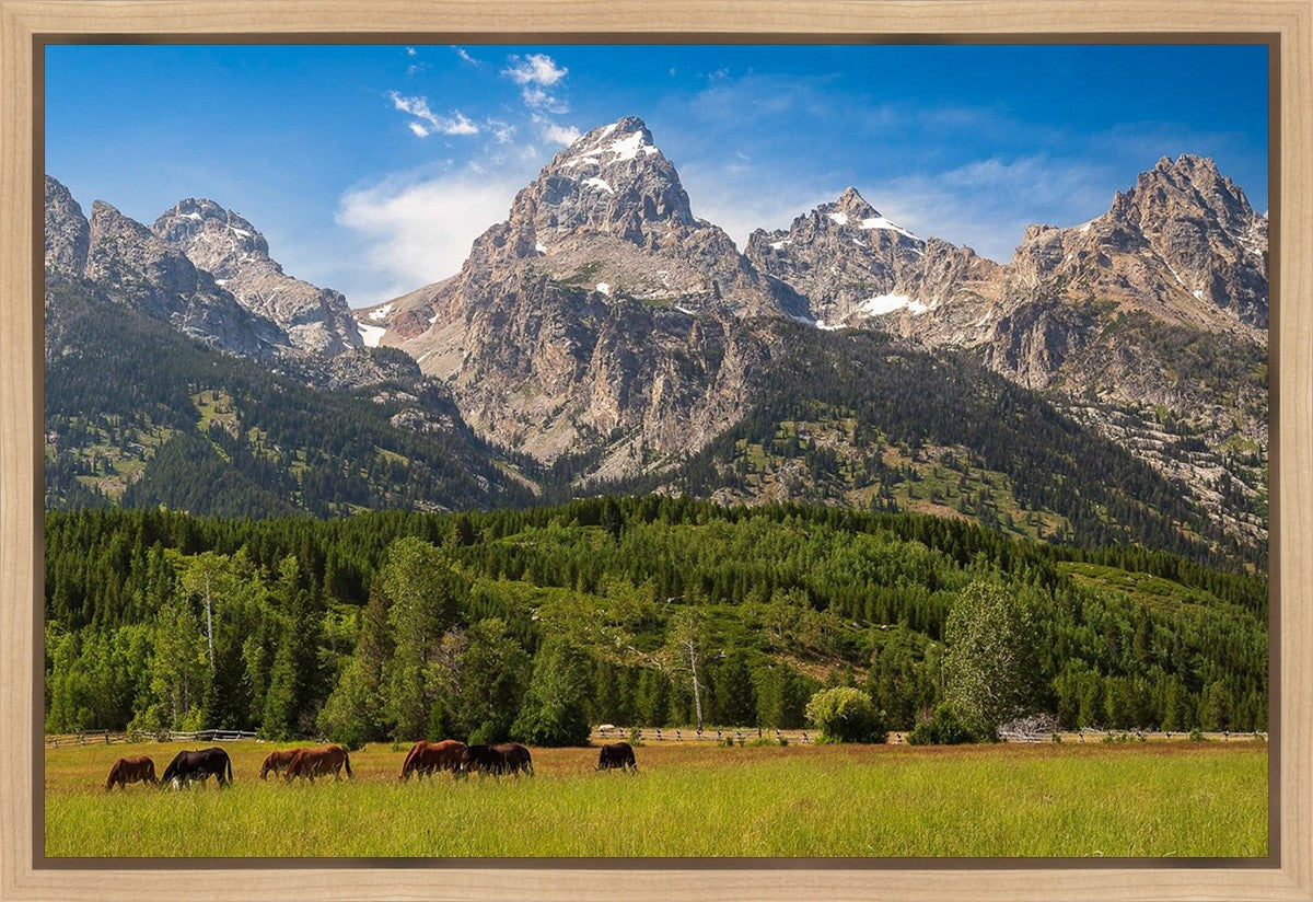 Panorama of Grand Teton Mountain Range, Wyoming