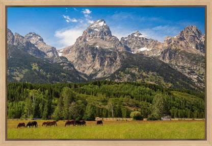 Panorama of Grand Teton Mountain Range, Wyoming
