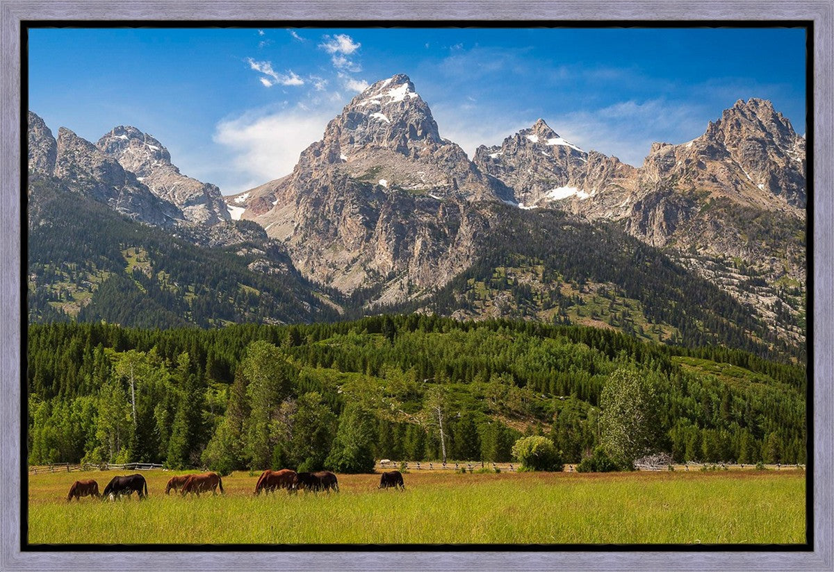 Panorama of Grand Teton Mountain Range, Wyoming