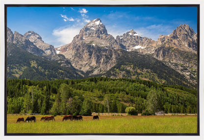 Panorama of Grand Teton Mountain Range, Wyoming