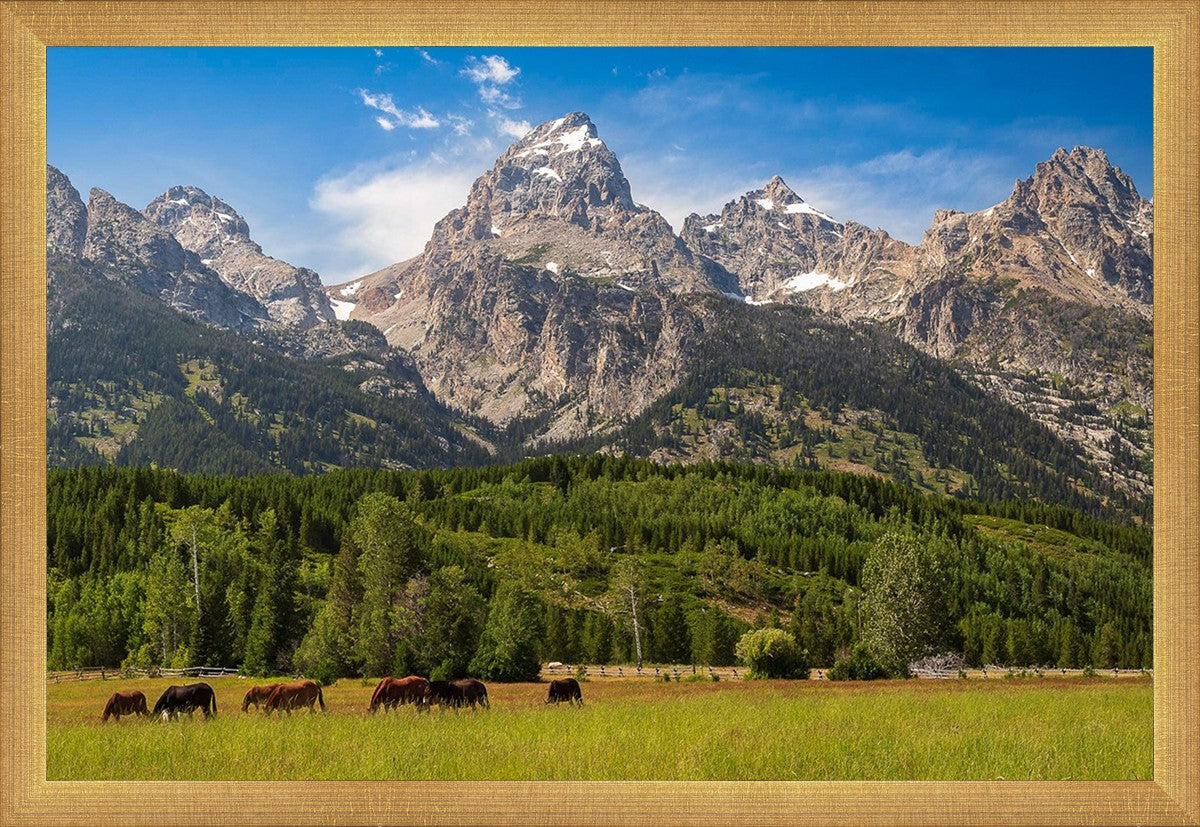 Panorama of Grand Teton Mountain Range, Wyoming