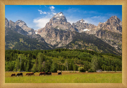 Panorama of Grand Teton Mountain Range, Wyoming