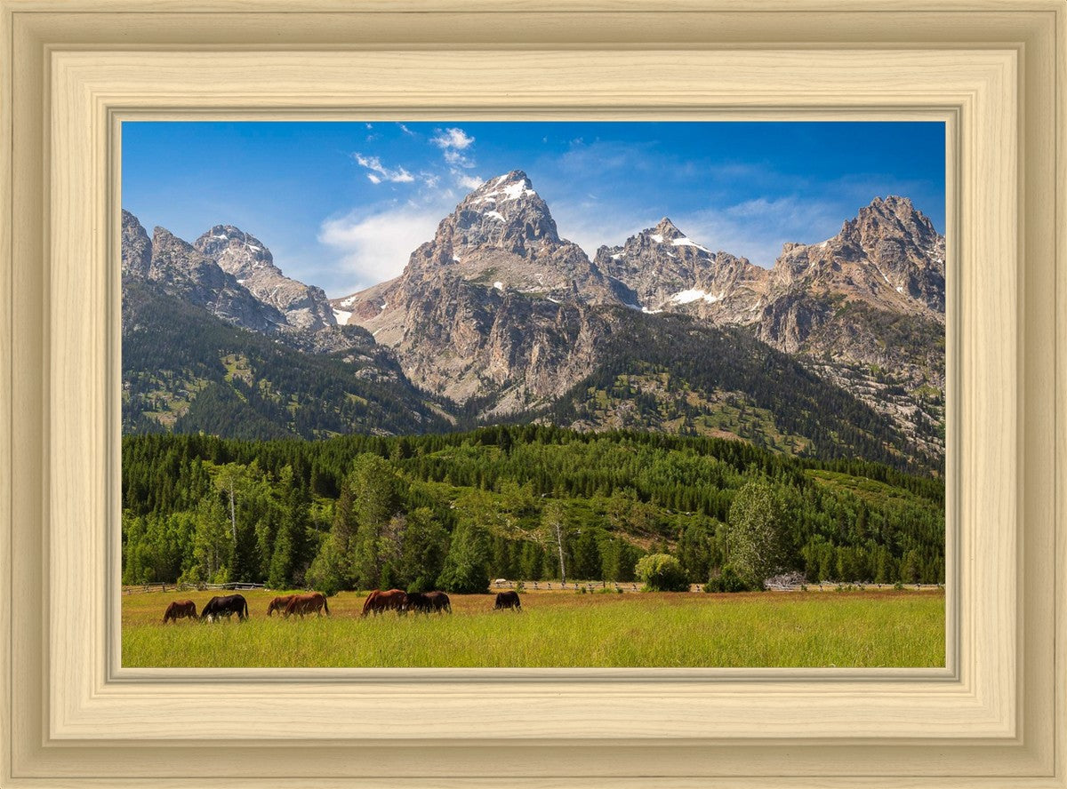 Panorama of Grand Teton Mountain Range, Wyoming