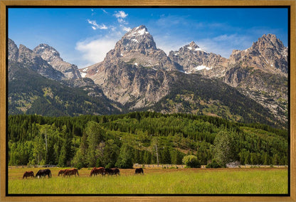 Panorama of Grand Teton Mountain Range, Wyoming