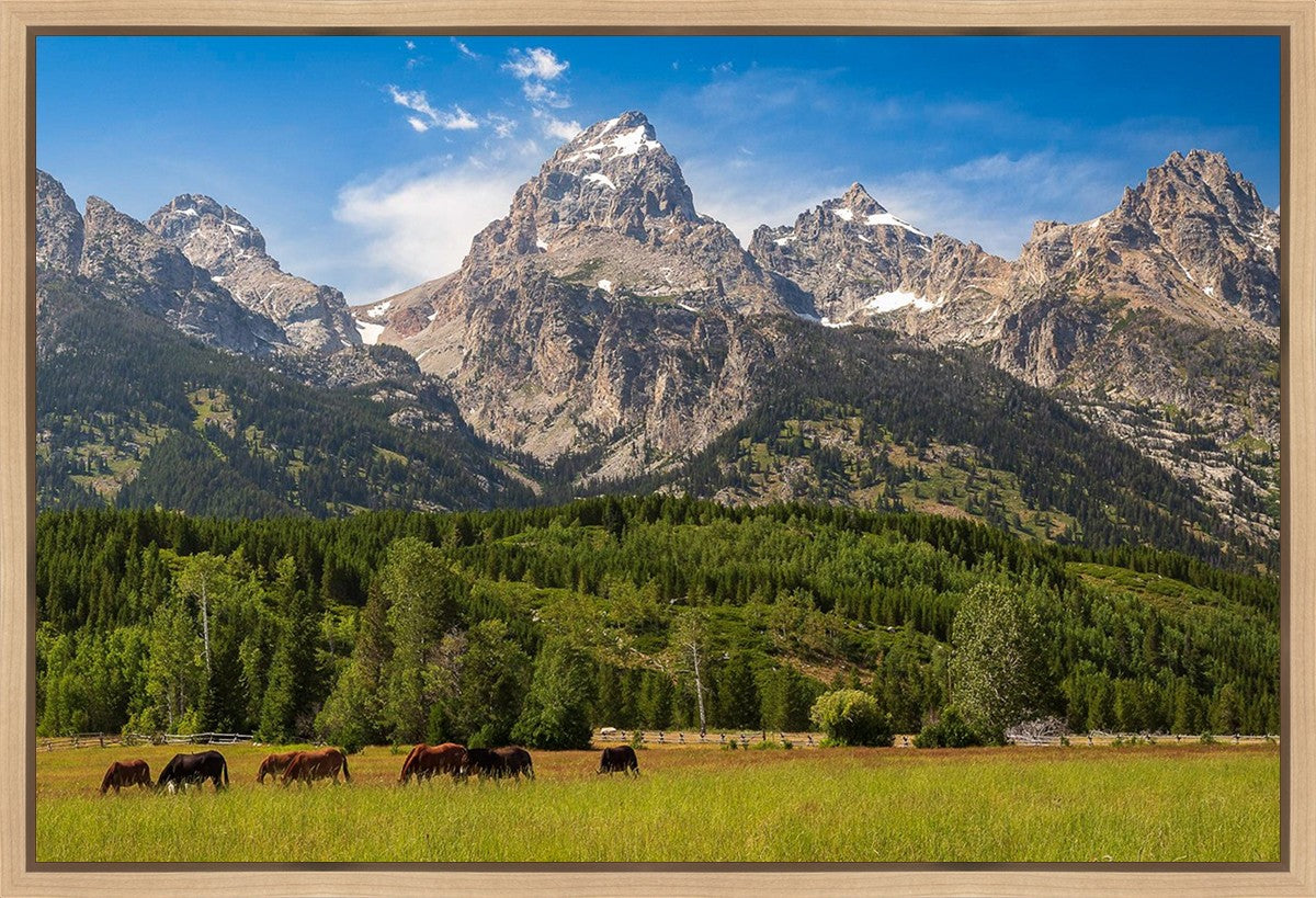 Panorama of Grand Teton Mountain Range, Wyoming