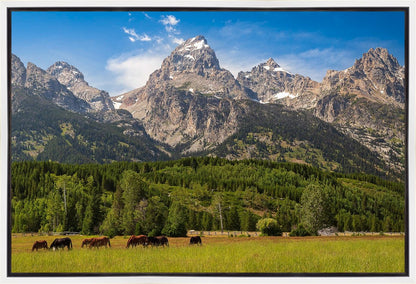 Panorama of Grand Teton Mountain Range, Wyoming