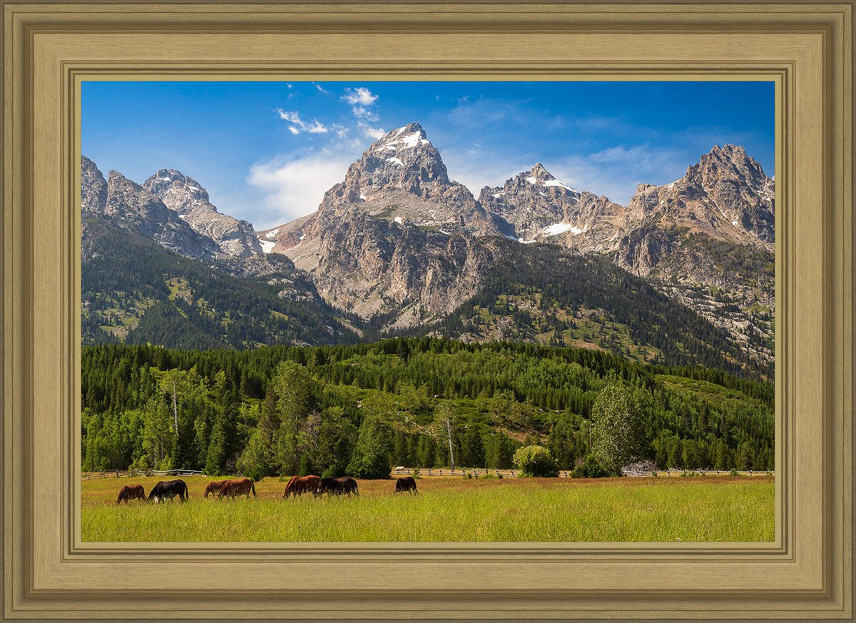 Panorama of Grand Teton Mountain Range, Wyoming