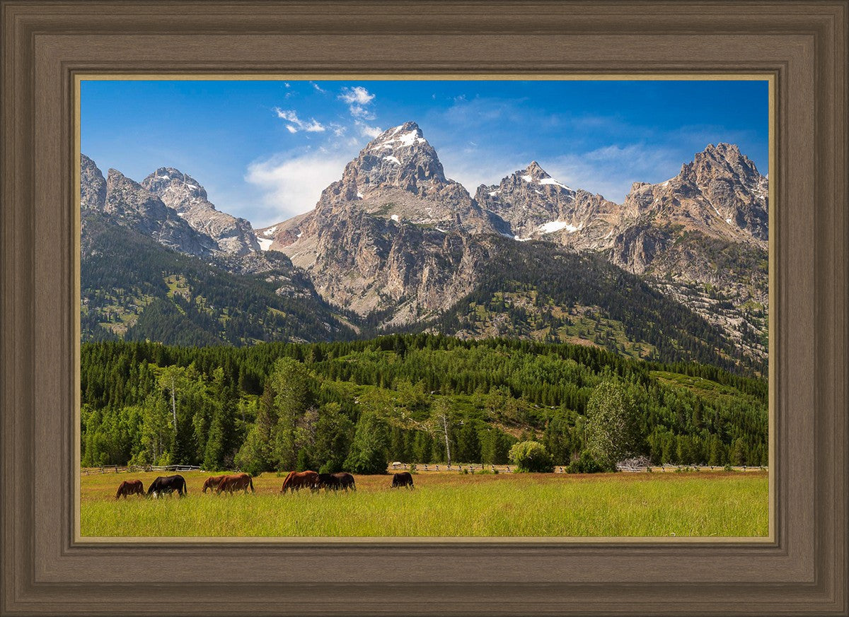 Panorama of Grand Teton Mountain Range, Wyoming