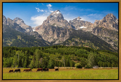 Panorama of Grand Teton Mountain Range, Wyoming
