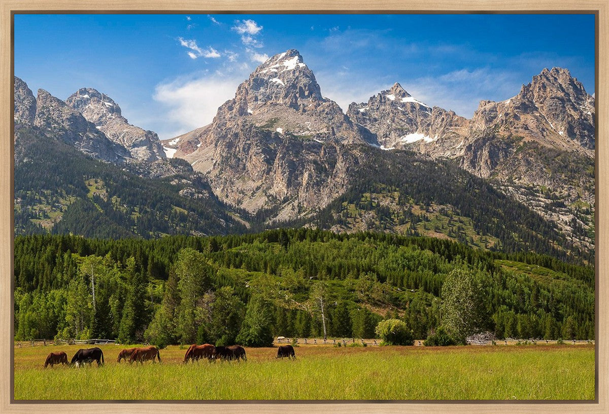 Panorama of Grand Teton Mountain Range, Wyoming