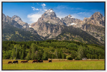 Panorama of Grand Teton Mountain Range, Wyoming