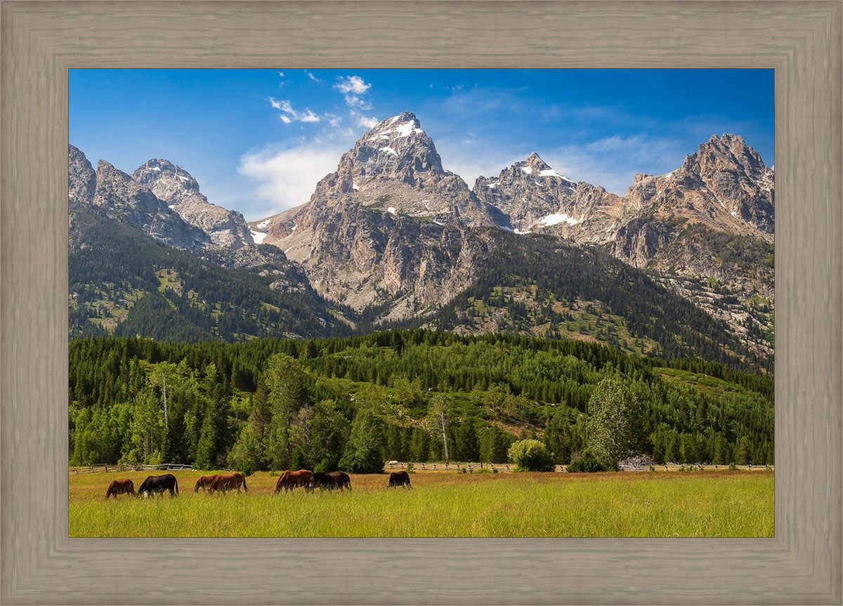 Panorama of Grand Teton Mountain Range, Wyoming
