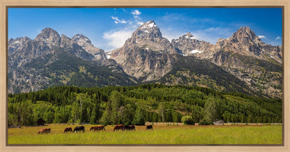 Panorama of Grand Teton Mountain Range, Wyoming