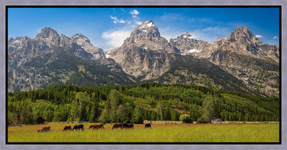 Panorama of Grand Teton Mountain Range, Wyoming