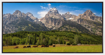 Panorama of Grand Teton Mountain Range, Wyoming