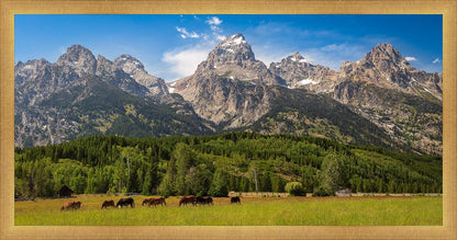 Panorama of Grand Teton Mountain Range, Wyoming