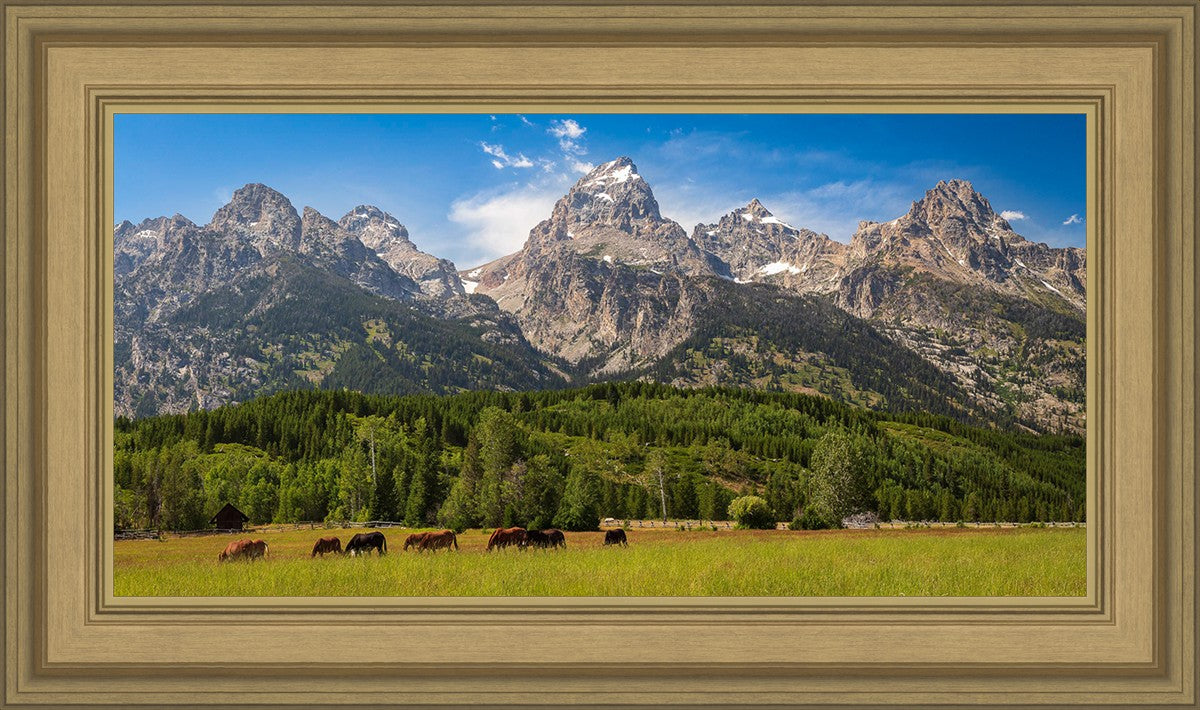 Panorama of Grand Teton Mountain Range, Wyoming