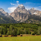 Panorama of Grand Teton Mountain Range, Wyoming