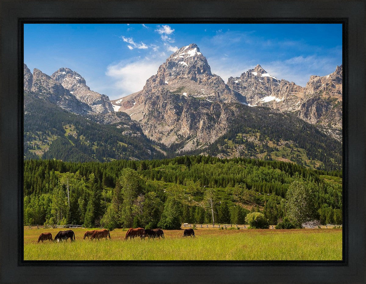 Panorama of Grand Teton Mountain Range, Wyoming