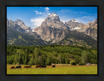Panorama of Grand Teton Mountain Range, Wyoming
