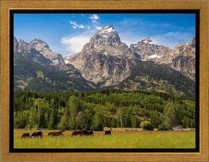 Panorama of Grand Teton Mountain Range, Wyoming