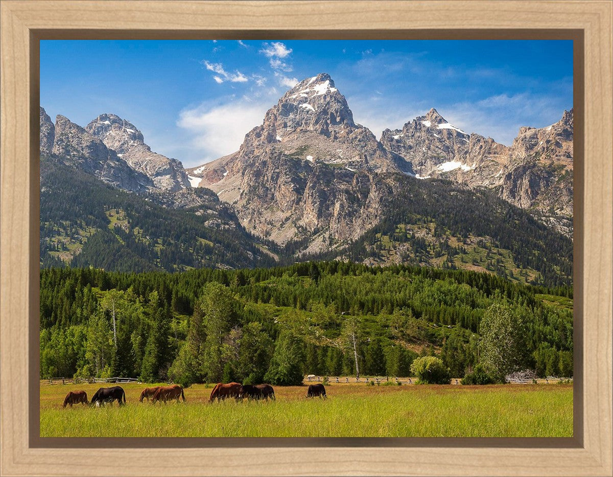 Panorama of Grand Teton Mountain Range, Wyoming