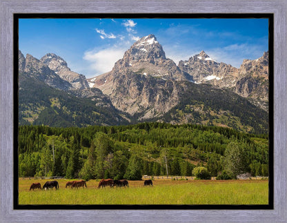 Panorama of Grand Teton Mountain Range, Wyoming