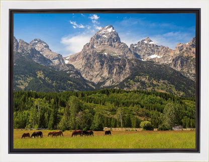 Panorama of Grand Teton Mountain Range, Wyoming