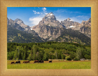 Panorama of Grand Teton Mountain Range, Wyoming