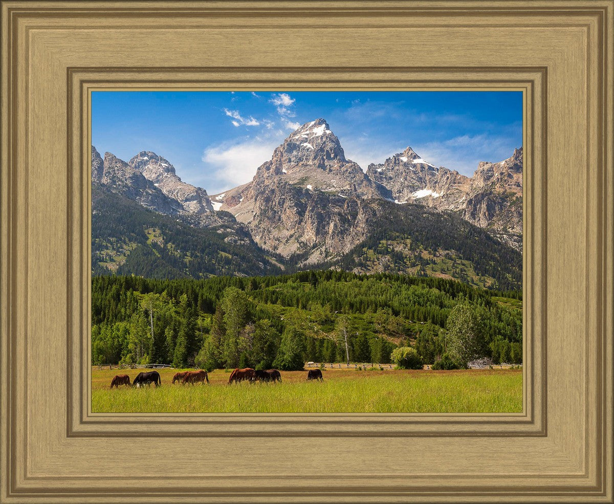 Panorama of Grand Teton Mountain Range, Wyoming