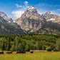 Panorama of Grand Teton Mountain Range, Wyoming