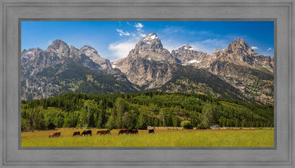 Panorama of Grand Teton Mountain Range, Wyoming