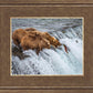 Grizzly Bears Fishing for Salmon at Katmai National Park Brooks Falls, Alaska