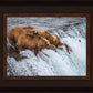 Grizzly Bears Fishing for Salmon at Katmai National Park Brooks Falls, Alaska