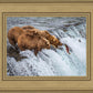 Grizzly Bears Fishing for Salmon at Katmai National Park Brooks Falls, Alaska