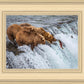 Grizzly Bears Fishing for Salmon at Katmai National Park Brooks Falls, Alaska