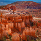 The Hoodoos of Bryce Canyon National Park, Utah