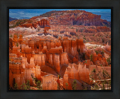 The Hoodoos of Bryce Canyon National Park, Utah