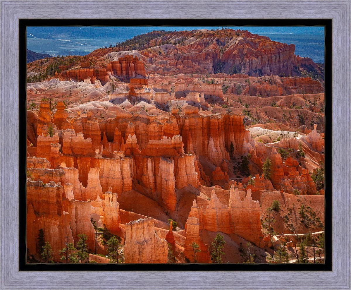The Hoodoos of Bryce Canyon National Park, Utah