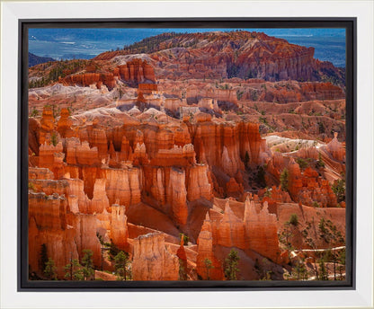 The Hoodoos of Bryce Canyon National Park, Utah