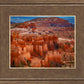 The Hoodoos of Bryce Canyon National Park, Utah