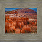 The Hoodoos of Bryce Canyon National Park, Utah