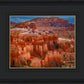 The Hoodoos of Bryce Canyon National Park, Utah
