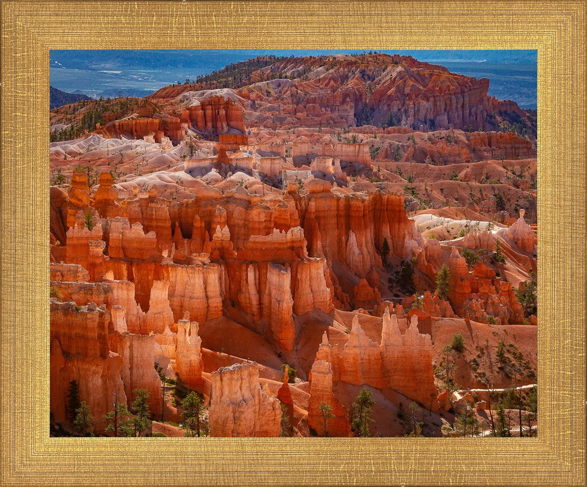 The Hoodoos of Bryce Canyon National Park, Utah
