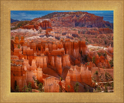 The Hoodoos of Bryce Canyon National Park, Utah