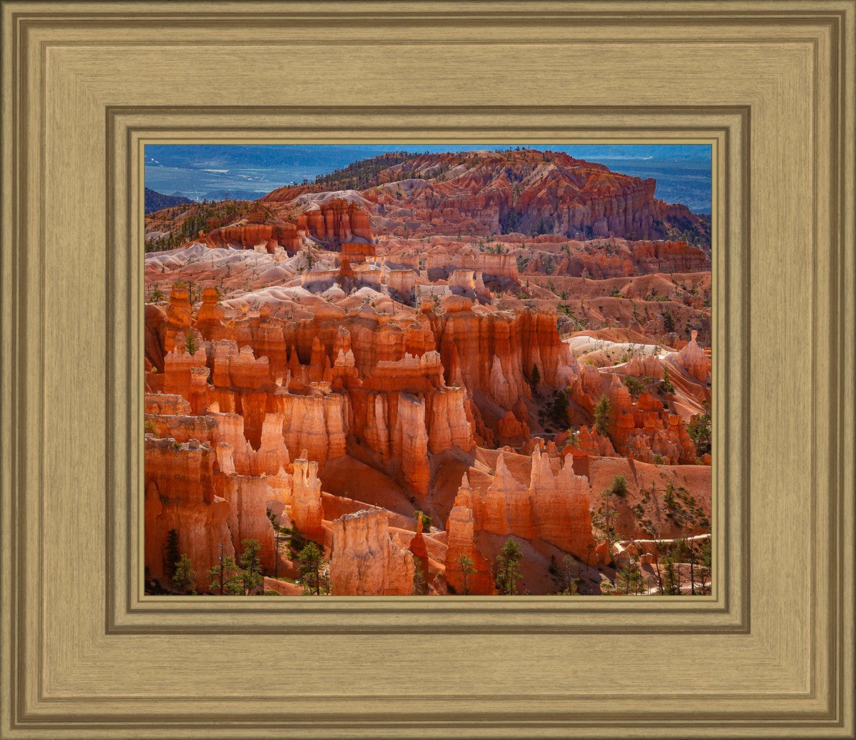 The Hoodoos of Bryce Canyon National Park, Utah
