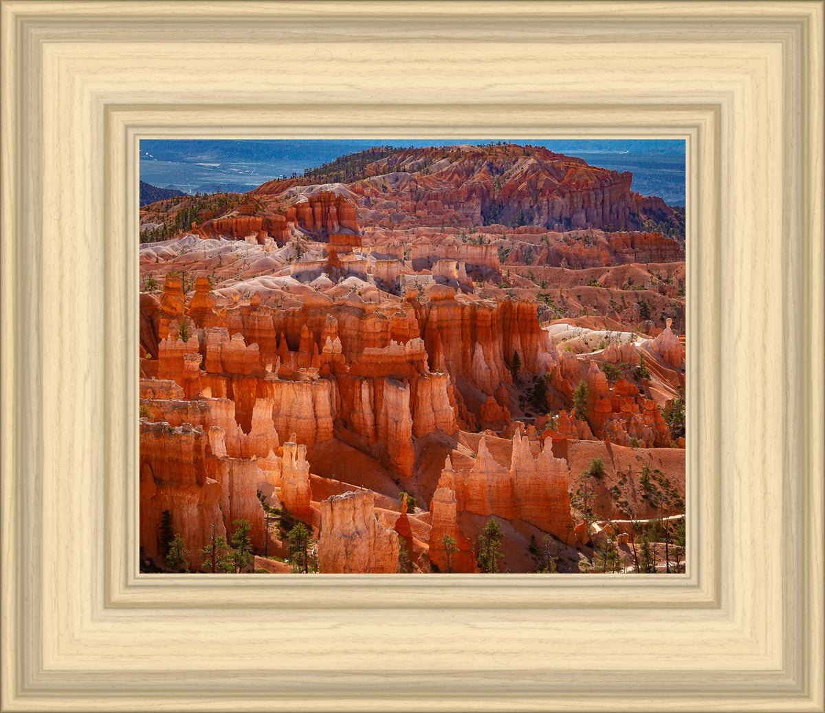 The Hoodoos of Bryce Canyon National Park, Utah